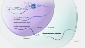 “Clusters” Turn mRNA Covid-19 Vaccine in Cardiac Arrest Triggers