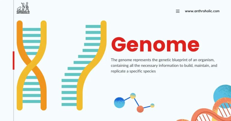 AI-Generated Genomes Used To Produce Functional, Bacteria-Killing Viruses In World First – IFLScience